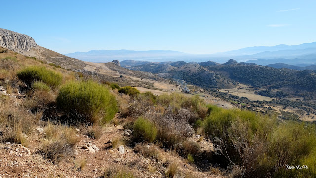 Cerro de la Cruz, Sierra Arana