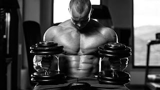 Pectoral. chest. muscle exercise Pec Deck