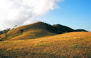 สถานที่ท่องเที่ยว ม่อนปุยหมอก