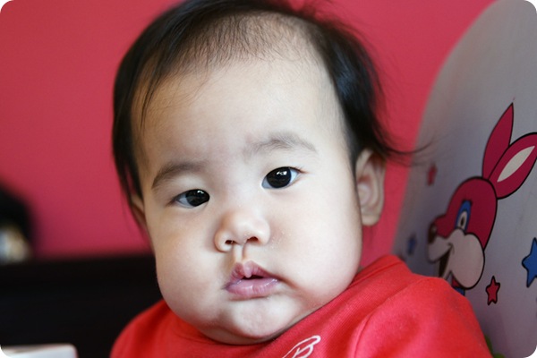 SONY DSC