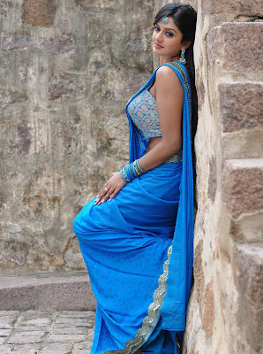 actress vimala raman in saree photos+123actressphotosgallery.com