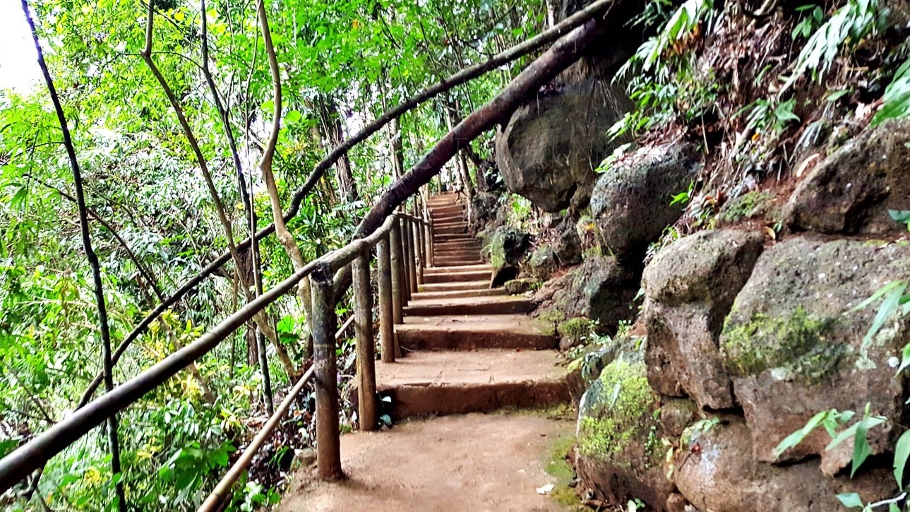 part of the stairs going out of Tinago Falls