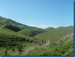PA020082