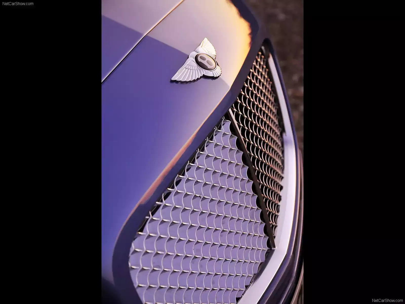 Hình ảnh xe ô tô Bentley Continental GTC Speed 2010 & nội ngoại thất