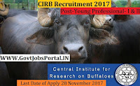 Central Institute for Research on Buffaloes Recruitment 2017– Young Professional- I & II