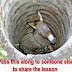 The Lesson From Donkey Fell Down Into a Well Might Touch Your Heart