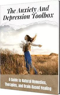 The Anxiety and Depression Toolbox Ebook