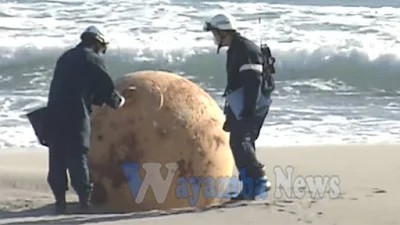 Mysterious object washed ashore in Japan