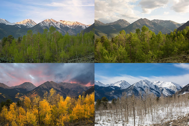 Fall Summer Winter and Spring with the Sawatch Mountains of Colorado