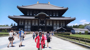 nara jepang; kota nara jepang; tempat wisata di kyoto; tempat wisata di kobe; wisata osaka; nara park; tour japan; wisata jepang; wisata di jepang; kota nara jepang; tentang kota nara jepang; ayodolenrek; ayo dolen rek