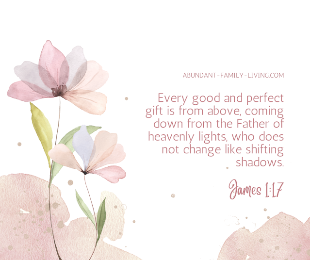 Image, Every Good and Perfect Gift is From Above, James 1:17