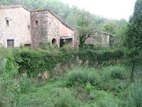 Bassa del Molí del Pere