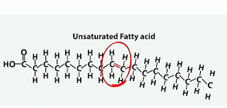 monounsaturated fat