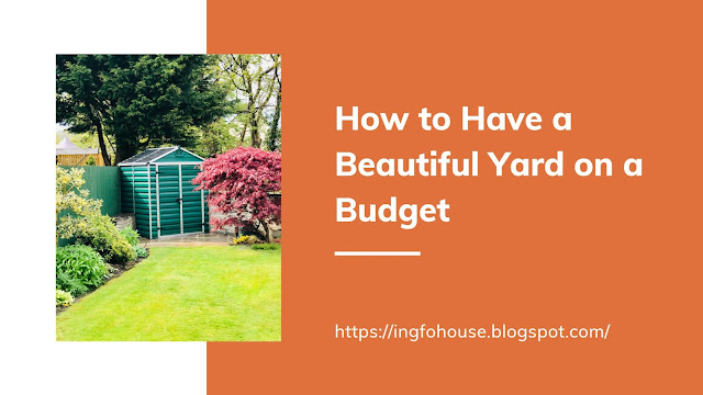 How to Have a Beautiful Yard on a Budget