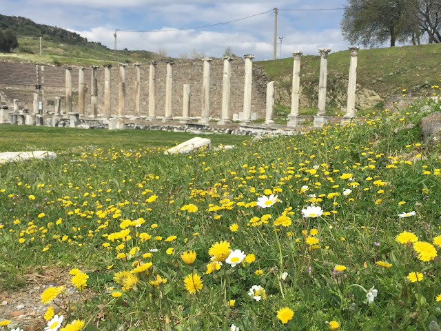 Asklepion, Bergama, Asklepios, Gezi, Sağlık tanrısı, nereye gitsek, günübirlik gezilecek yerler, kutsal su, arkeoloji müzesi, yılan, via tecta, ayvalık, cunda, seyahat 