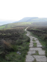 Paved path across the moor