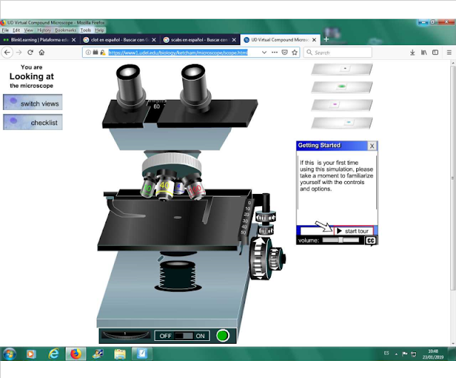 https://www1.udel.edu/biology/ketcham/microscope/scope.html