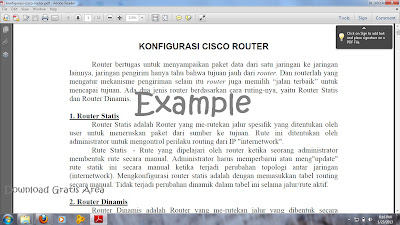 Adobe Reader X work