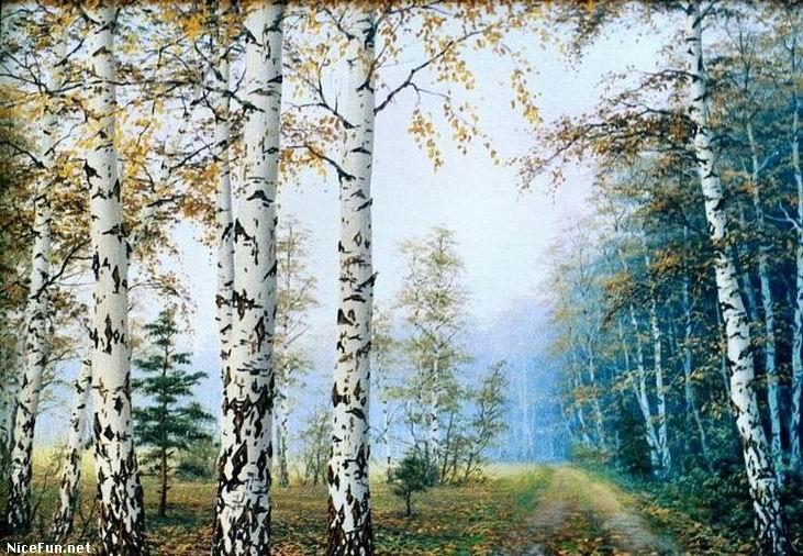 How Much Exercise To Lose Weight Yahoo 11427 Beauty Of Nature Paintings Nicefun 619