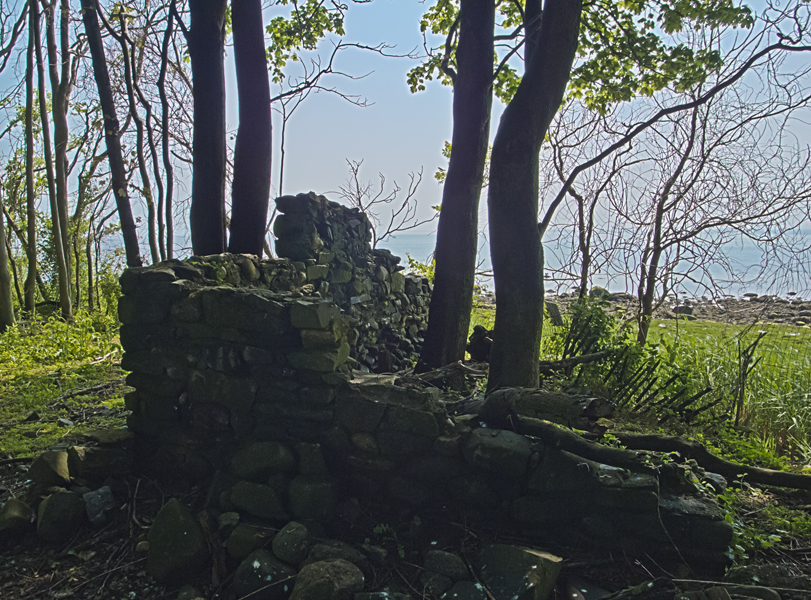 Ruins on Charles Island, Milford CT