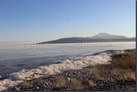 IMG_4892_thumb3