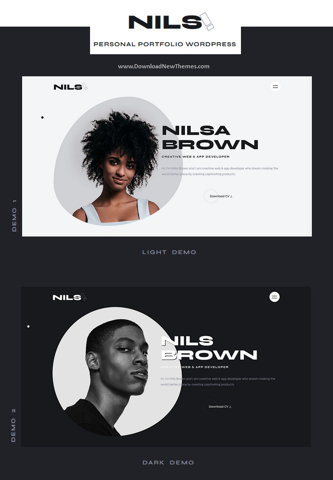 Nils - Personal Portfolio WordPress Theme Review