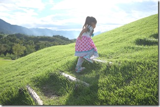 DSCF0729