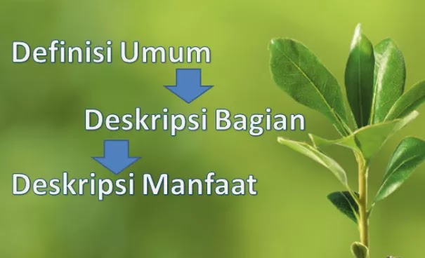 Pengertian Definisi Umum, Deskripsi Bagian, Deskripsi Manfaat