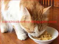 Cara Membuat Makanan Kucing Tanpa Daging