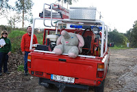 elefante de peluche que foi salvo da mata e andou a tarde toda a passear nas traseiras do carro de bombeiros