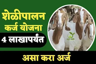 goat-farming-loan-scheme