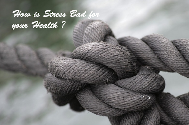 How is Stress Bad for your Health ?