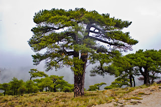 Parque Nacional Sierra de Cazorla, Segura y Las Villas