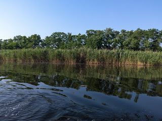 Река Волчья в Межевском районе Днепропетровской области