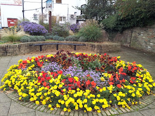 Summer flowers cling on