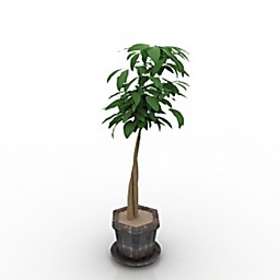 Plant 3D Model