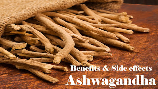 Benefits and Side effects of ashwagandha | Ashwagandha for weight loss | Ashwagandha supplement
