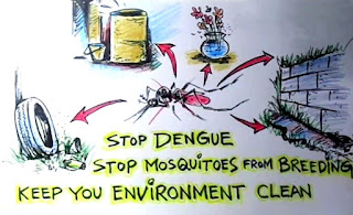 Dengue fever is a tropical-borne disease characterized by mosquito bites and the dengue virus. The breed of mosquito called Aedesaegypti, which survives only in tropical and sub-tropical areas throughout the year- facilitates transmit of the virus.