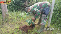 Kembangkan Tanaman Keras di Lahan Kritis Cimenyan oleh Satgas Sektor 22 Sub 17