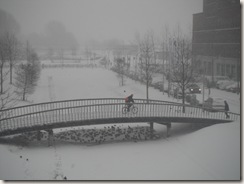 Sneeuw