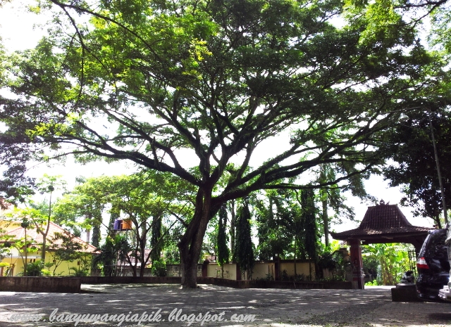 Tempat parkir /halaman depan Gua Maria Jatiningrum, Banyuwangi