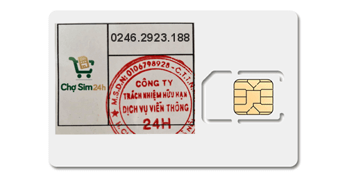 Sim số đẹp 02462923188 