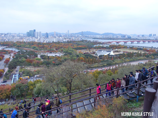 韓國, 景點, 首爾, 賞楓, 夜景, 天空公園,藍天公園,芒草