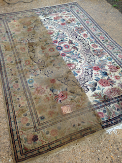 Cambridge rug flood kitty