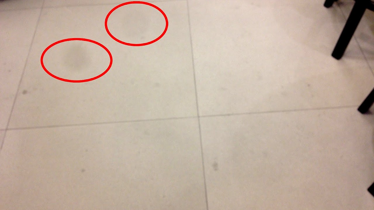 Apple Store Cameras