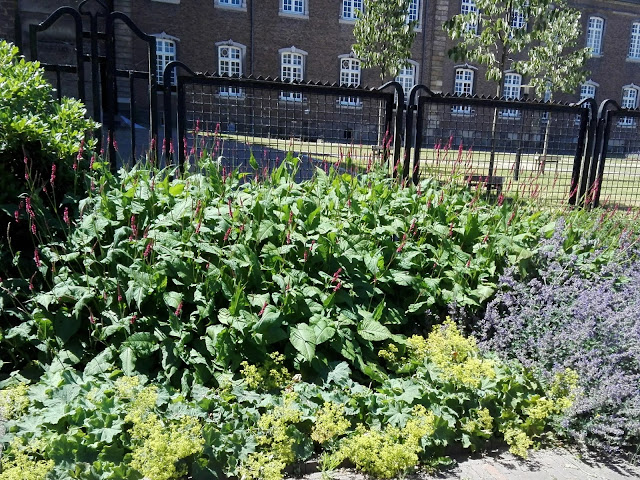 Border van tuin van abdij Rolduc