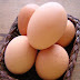 Manfaat Telur Untuk Rambut Rusak Agar Sehat Halus Dan Lembut