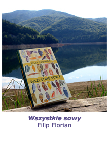 „Wszystkie sowy” Filip Florian