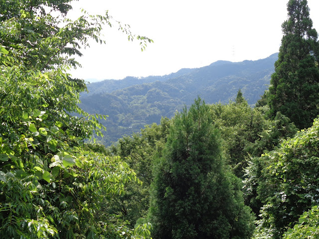 鎌倉山グリーンラインからの風景