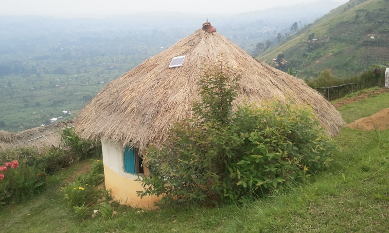 Hiking in the Rwenzori Mountains